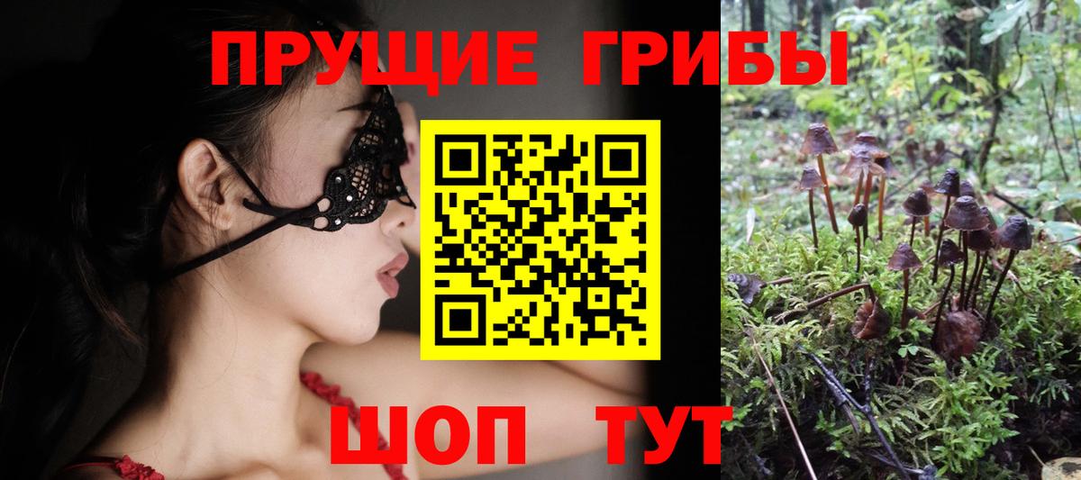 Псилоцибиновые грибы мицелий Тельмана